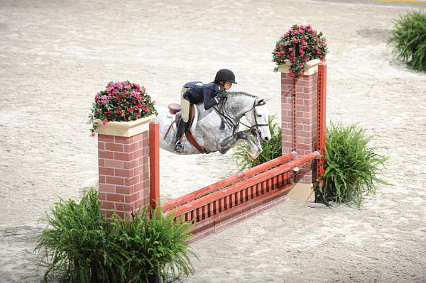 WIHS-10-24-09-Cl112-MdPny-DER_8054-Posh-AshleyDelgado-Ponies-DDeRosaPhoto.jpg