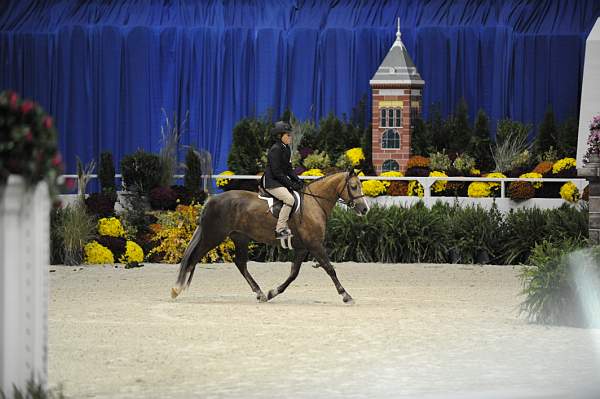 WIHS-10-24-09-Cl185WIHSPnyEqFinals-DER_8273-PromiseToo-VictoriaColvin-Ponies-DDeRosaPhoto.jpg