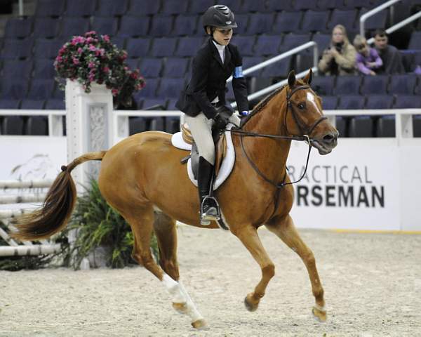 WIHS-10-25-09-LgPnyHtr-DSC_2237-LandsEndMadHatter-LucilleOken-Ponies-DDeRosaPhoto.jpg