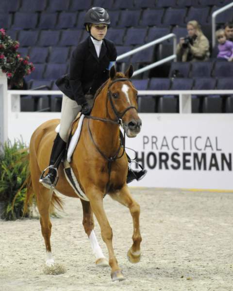 WIHS-10-25-09-LgPnyHtr-DSC_2238-LandsEndMadHatter-LucilleOken-Ponies-DDeRosaPhoto.jpg