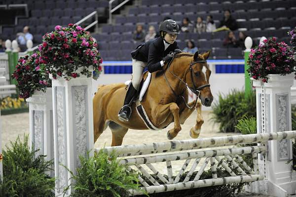 WIHS-10-25-09-LgPnyHtr-DSC_2239-LandsEndMadHatter-LucilleOken-Ponies-DDeRosaPhoto.jpg