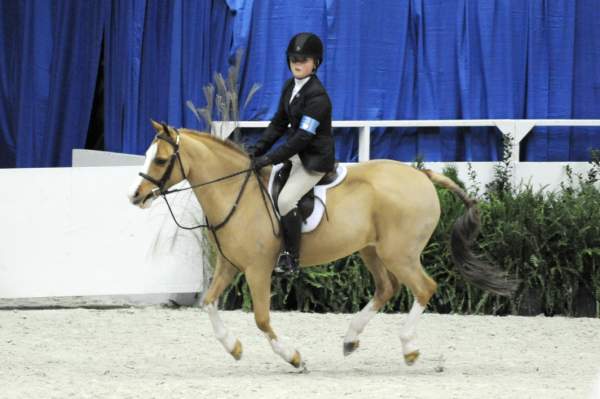 WIHS-10-25-09-MedPny-DSC_1807-BenleaAristocrat-ChloeReid-Ponies-DDeRosaPhoto.jpg