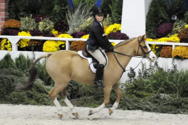 WIHS-10-25-09-MedPnyStke-DSC_2113-BenleaAristocrat-ChloeReid-Ponies-DDeRosaPhoto.jpg