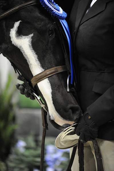 WIHS-10-22-09-DSC_4993-Mirasol-KelseyThatcher-SmJrHtr16-17-Presentations-DDeRosaPhoto.jpg
