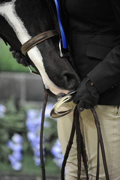 WIHS-10-22-09-DSC_4994-Mirasol-KelseyThatcher-SmJrHtr16-17-Presentations-DDeRosaPhoto.jpg