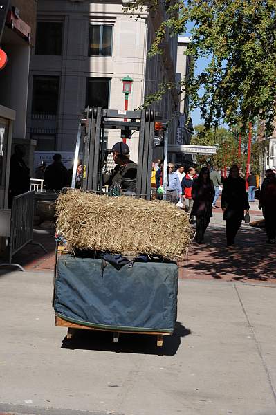 WIHS-10-19-09-402-Setup-DDeRosaPhoto.jpg
