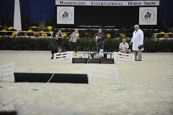 WIHS-10-22-09-DSC_6704-Terriers-DDeRosaPhoto.jpg