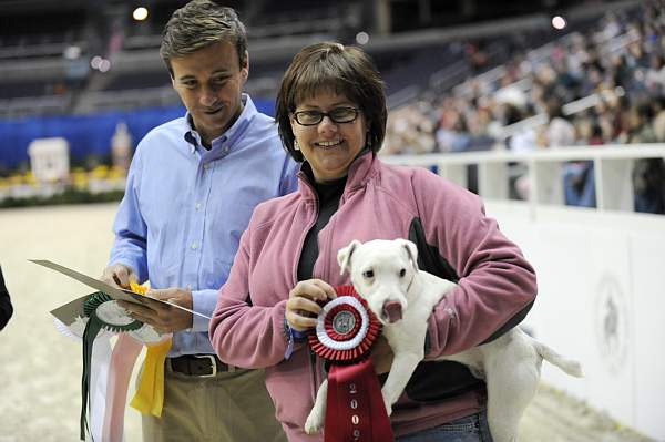 WIHS-10-25-09-DSC_3418-Terriers-DDeRosaPhoto.jpg