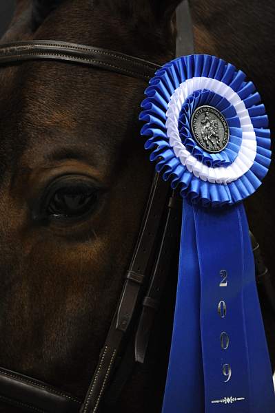 WIHS-10-23-09-DSC_7759-Bishonen-SamanthaSchaefer-Winners-DDeRosaPhoto.jpg
