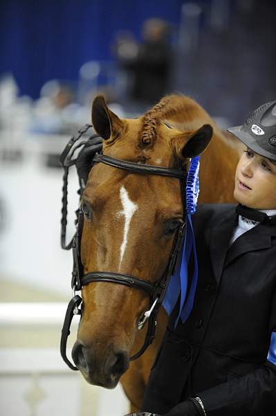 WIHS-10-24-09-DER_8164-AllTheBest-VictoriaColvin-Winners-DDeRosaPhoto.jpg