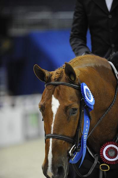 WIHS-10-24-09-DER_8480-WayCool-ScottStewart-Winners-DDeRosaPhoto.jpg