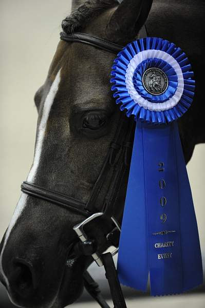 WIHS-10-25-09-DSC_1610-Winners-DDeRosaPhoto.jpg