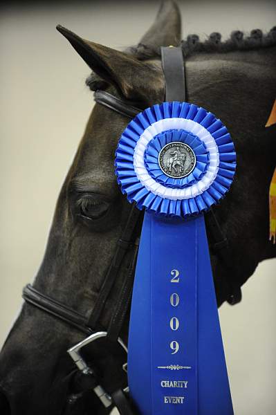 WIHS-10-25-09-DSC_1611-DDeRosaPhoto.jpg