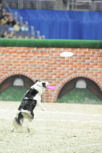 WIHS-10-23-09-DER_7562-ZakGeorge-DDeRosaPhoto.jpg