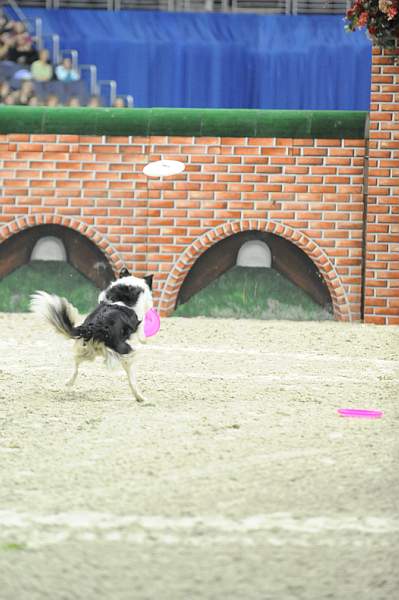 WIHS-10-23-09-DER_7563-ZakGeorge-DDeRosaPhoto.jpg