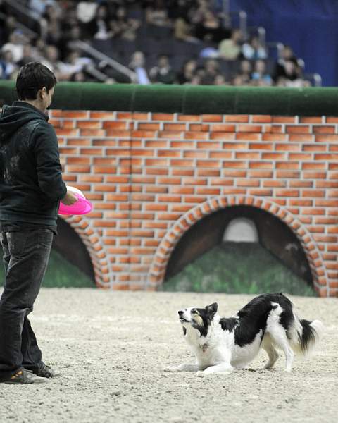 WIHS-10-23-09-DER_7572-ZakGeorge-DDeRosaPhoto.jpg