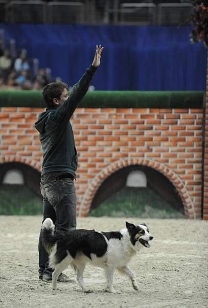 WIHS-10-23-09-DER_7592-ZakGeorge-DDeRosaPhoto.jpg