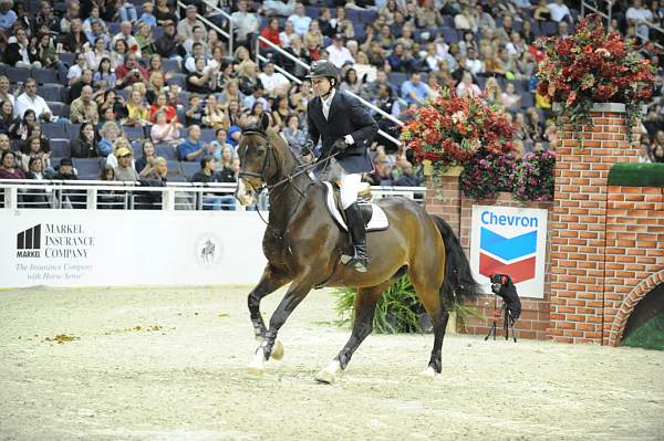 WIHS-10-23-09-DER_7675-Vancouver-McLainWard-Puissance-DDeRosaPhoto.jpg