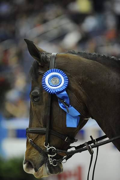 WIHS-10-23-09-DER_7750-Vancouver-McLainWard-Puissance-DDeRosaPhoto.jpg