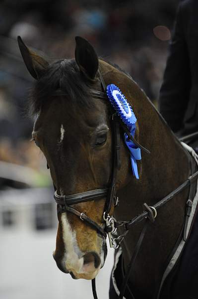 WIHS-10-23-09-DER_7760-Vancouver-McLainWard-Puissance-DDeRosaPhoto.jpg