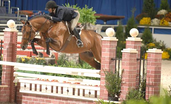 LouiseSerio-029-Theory-WIHS-10-24-06-&copy;DeRosaPhoto.jpg