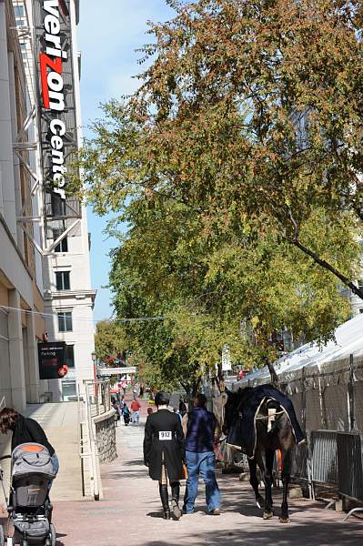WIHS-10-25-09-DSC_2578-AroundGrounds-VerizonSignage-DDeRosaPhoto.jpg