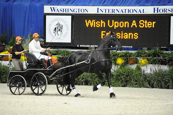 WIHS-10-25-09-DSC_2952-WOH-DDeRosaPhoto.jpg