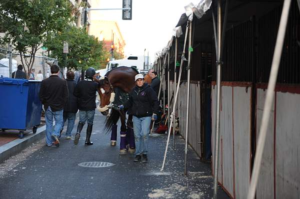 WIHS-10-19-09-325-DDeRosaPhoto.jpg