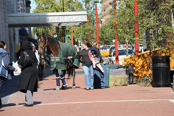 WIHS-10-19-09-421-DDeRosaPhoto.jpg