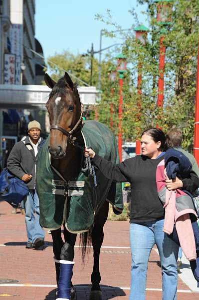 WIHS-10-19-09-423-DDeRosaPhoto.jpg