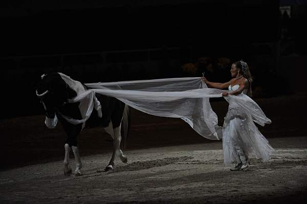 DSC_6574-DDeRosaPhoto.JPG