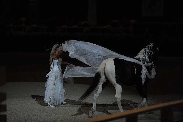 DSC_6590-DDeRosaPhoto.JPG