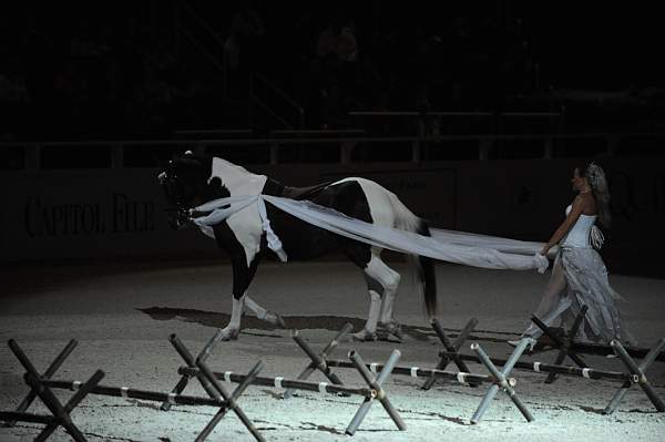 DSC_6595-DDeRosaPhoto.JPG
