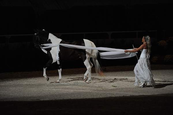 DSC_6601-DDeRosaPhoto.JPG