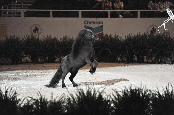 DSC_6672-DDeRosaPhoto.JPG