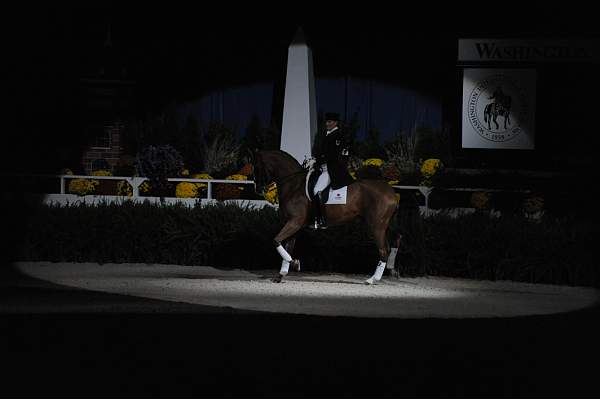DSC_6736-DDeRosaPhoto.JPG