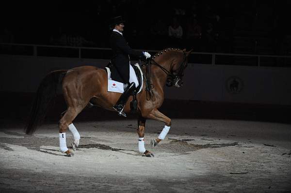 DSC_6759-DDeRosaPhoto.JPG