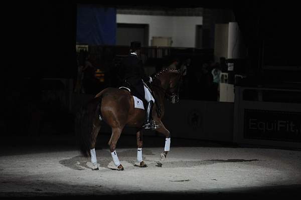 DSC_6780-DDeRosaPhoto.JPG