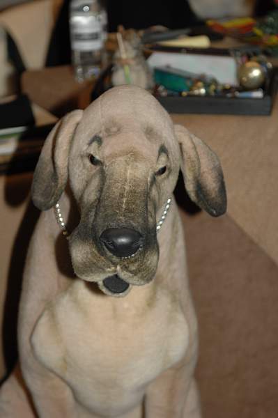 DSC_0123-DDeRosaPhoto.jpg