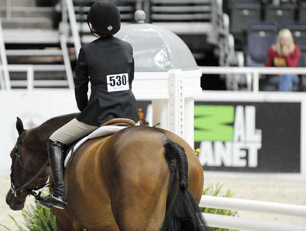 WIHS-10-20-09-DSC_0238-Sponsors-AnimalPlanet-DDeRosaPhoto.jpg