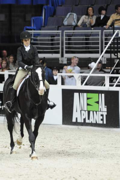 WIHS-10-20-09-DSC_0630-Nimrod-ParkerVandeWater-Sponsors-AnimalPlanet-DDeRosaPhoto.jpg