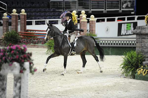 WIHS-10-20-09-DSC_0805-Castille-AliSelman-Sponsors-AnimalPlanet-DDeRosaPhoto.jpg