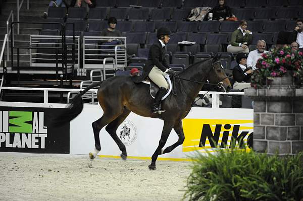 WIHS-10-21-09-DSC_1861-RockStar-JenniferAlfano-AnimalPlanet-DDeRosaPhoto.jpg