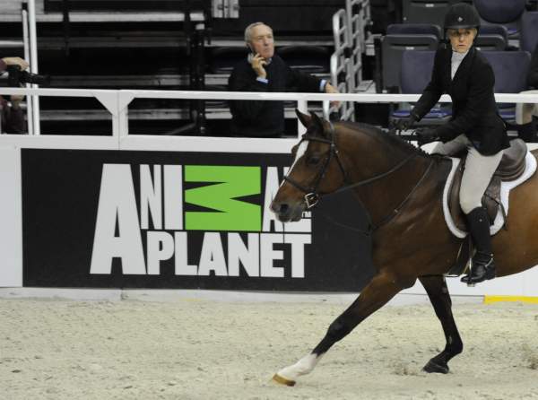 WIHS-10-21-09-DSC_2299-AnimalPlanet-DDeRosaPhoto-crop.jpg