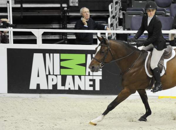WIHS-10-21-09-DSC_2299-Sponsors-AnimalPlanet-DDeRosaPhoto-crop.jpg