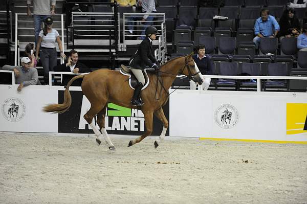 WIHS-10-21-09-DSC_2374-Confidential-ErinStewart-Sponsors-AnimalPlanet-DDeRosaPhoto.jpg