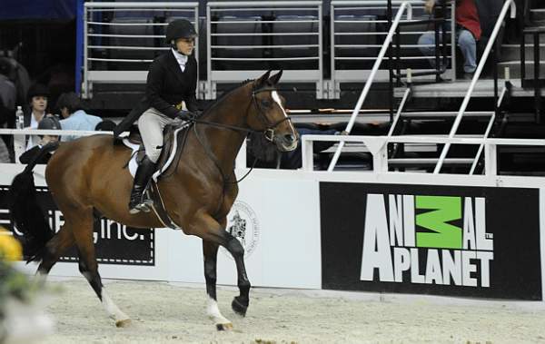 WIHS-10-21-09-DSC_2417-Cezanne-LillianHahn-AnimalPlanet-DDeRosaPhoto.jpg