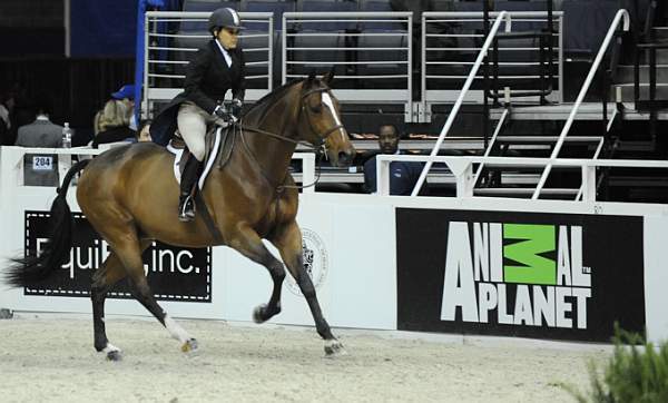 WIHS-10-21-09-DSC_2749-Overseas-LauraWasserman-Sponsors-AnimalPlanet-DDeRosaPhoto.jpg
