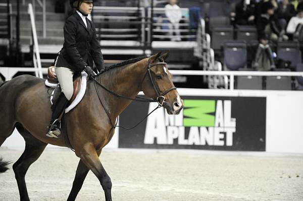WIHS-10-22-09-DSC_4008-DavisCup-LucilleOken-SmJrHtr15U-Sponsors-AnimalPlanet-DDeRosaPhoto.jpg