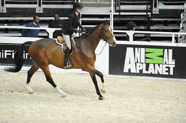 WIHS-10-22-09-DSC_4496-Solitaire-AbigailMcArdle-LgJrHtr15U-Sponsors-AnimalPlanet-DDeRosaPhoto.jpg